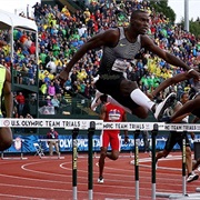 See the Hayward Field Olympic Trials