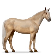 Mustang - Palomino