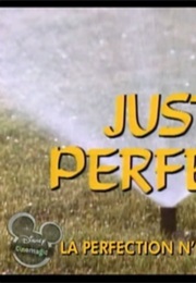 Just Perfect (1990)