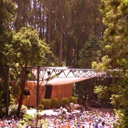 Stern Grove (Festival in Summer)