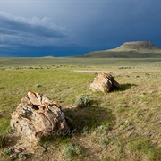 Table Mountain Wildlife Area, Wyoming