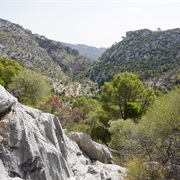 Tramuntana / Albufeira Marshes, Mallorca