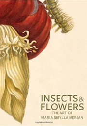 Insects and Flowers: The Art of Maria Sibylla Merian (David Brafman)