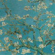 Almond Blossoms - Vincent Van Gogh