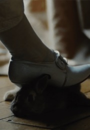 Uncredited Rabbit in (The Favorite) (2018)