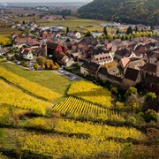Drive the Alsatian Wine Route Through France