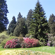 Meinau Gardens Germany