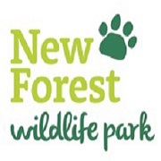 New Forest Wildlife Park