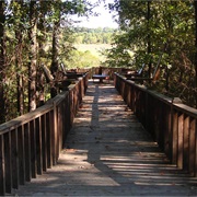 Handy Brake National Wildlife Refuge