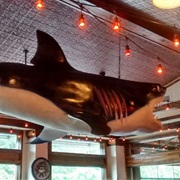 Joe's Crab Shack (Branson, MO)