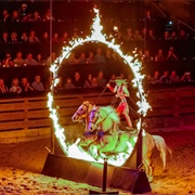 Dolly Parton's Stampede