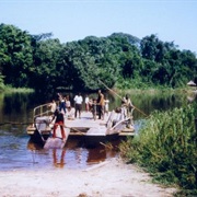 Ubangi Uele River