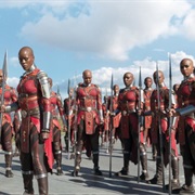 The Dora Milaje