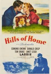 Hills of Home (1948)