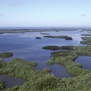 Rookery Bay National Estuarine Research Reserve