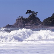 Katsurahama Beach, Kochi