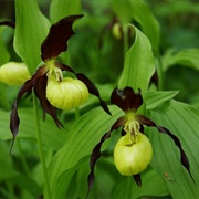 Krekenava Regional Park, Lithuania