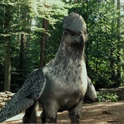 Buckbeak
