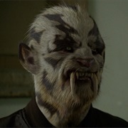 Mauvais Dentes - Saber Toothed Cat Wesen