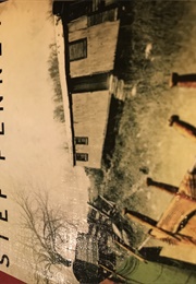 The Invisible Ones (Stef Penney)