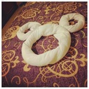 Find a Hidden Mickey