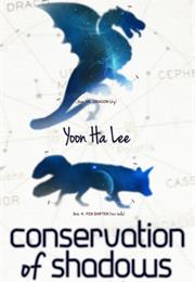 Conservation of Shadows