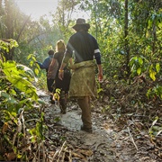 Jungle Trips Into the Amazon
