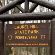 Laurel Hill State Park