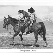 Serve as Designated Driver