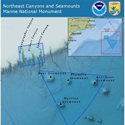 Northeast Canyons and Seamounts Marine National Monument