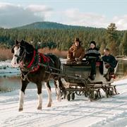 Sleigh Ride