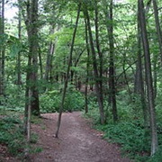 Wilson Mountain State Reservation, Massachusetts