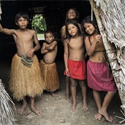 Visit an Amazonian Village