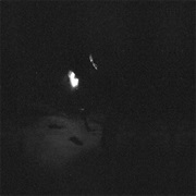 Paysage D'hiver - Nacht