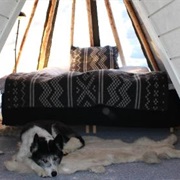Holem Husky Lodge, Norway