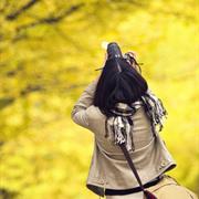View Japan's Autumn Colors