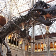 Oxford History Museum