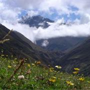 Sangay National Park