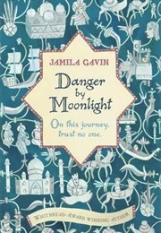 Danger by Moonlight (Jamila Gavin)