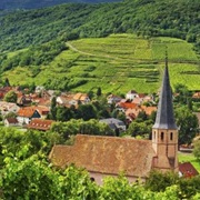 Alsatian Wine Route