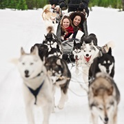 Dogsledding in Canada