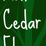 Cedar