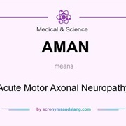 Axonal & Neuronal Neuropathy (AMAN)