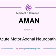 Axonal &amp; Neuronal Neuropathy (AMAN)