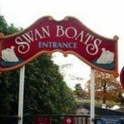 Swan Boats