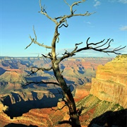 Grand Canyon, Arizona, USA