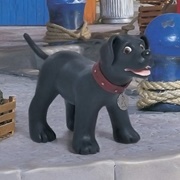 Merlin the Magical Puppy