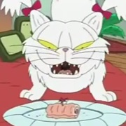 Cat Got Your Tongue?