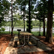 North Toledo Bend State Park, Louisiana