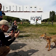 Tourists in Chernobyl